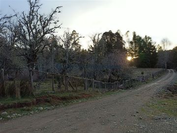 Casa en Venta en VENTA CAMPO DE 8 HECTÁREAS CON CASA EN TEGUALDA