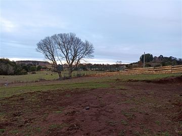 Casa en Venta en VENTA CAMPO DE 8 HECTÁREAS CON CASA EN TEGUALDA