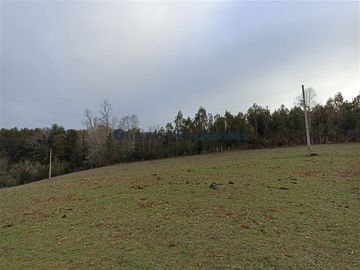 Casa en Venta en VENTA CAMPO DE 8 HECTÁREAS CON CASA EN TEGUALDA