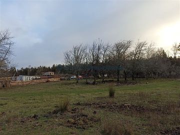 Casa en Venta en VENTA CAMPO DE 8 HECTÁREAS CON CASA EN TEGUALDA