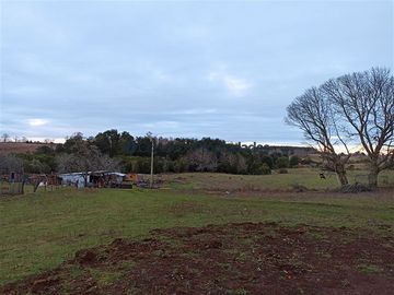 Casa en Venta en VENTA CAMPO DE 8 HECTÁREAS CON CASA EN TEGUALDA