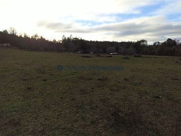 Casa en Venta en VENTA CAMPO DE 8 HECTÁREAS CON CASA EN TEGUALDA