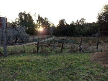 Casa en Venta en VENTA CAMPO DE 8 HECTÁREAS CON CASA EN TEGUALDA