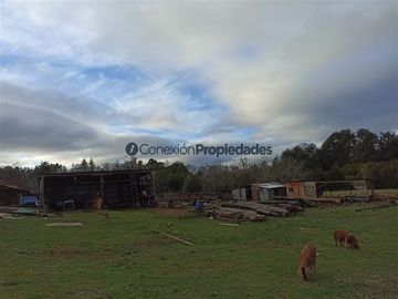 Casa en Venta en VENTA CAMPO DE 8 HECTÁREAS CON CASA EN TEGUALDA