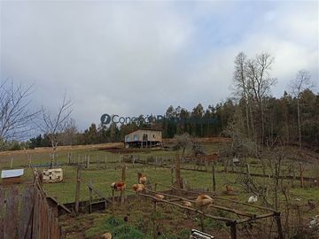 Casa en Venta en VENTA CAMPO DE 8 HECTÁREAS CON CASA EN TEGUALDA