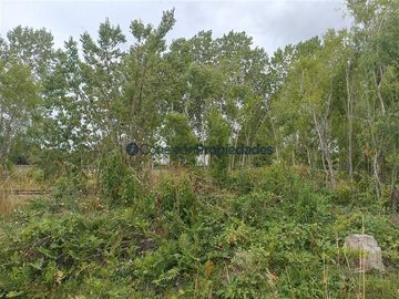 Parcela en Venta en PARCELA CON CASA /HERMOSA VISTA / A 15 MINUTOS DE FRUTILLAR .