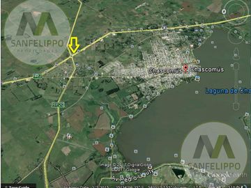 Campo - Chacra 17 - Venta - Chascomús