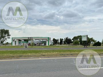 Campo - Chacra 17 - Venta - Chascomús