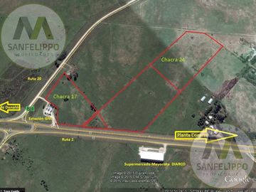 Campo - Chacra 17 - Venta - Chascomús