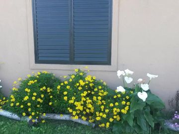 Casa Quinta en venta - 3 Dormitorios 1 Baño - 2.109,37Mts2 - Chascomús