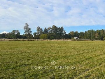 Terreno de 10 ha con vista al Volcán Villarrica a pocos minutos de Panguipulli