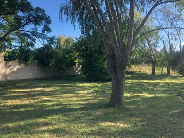 Casa en venta - 2 Dormitorios 1 Baño - Cocheras - 698Mts2 - Pipinas