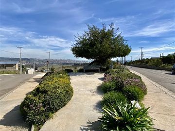 Sitio en Venta en Ex Fundo Las Gaviotas - Cam. del Bosque, Quintero, Valparaíso
