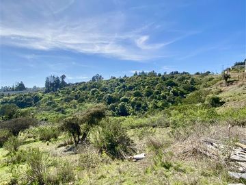 Sitio en Venta en Ex Fundo Las Gaviotas - Cam. del Bosque, Quintero, Valparaíso