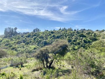Sitio en Venta en Ex Fundo Las Gaviotas - Cam. del Bosque, Quintero, Valparaíso