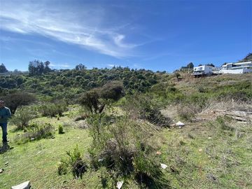 Sitio en Venta en Ex Fundo Las Gaviotas - Cam. del Bosque, Quintero, Valparaíso