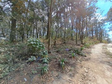 Haz tu casa en este lote en Real del Monte