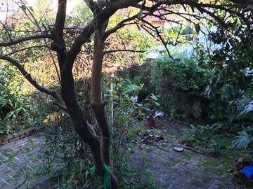 PH VENTA RAMOS MEJIA 3 AMBIENTES