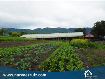 Vendo Finca en Tenjo Vereda Martin y Espino
