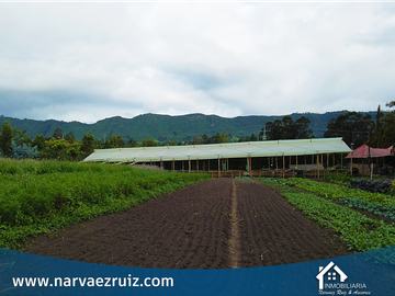 Vendo Finca en Tenjo Vereda Martin y Espino