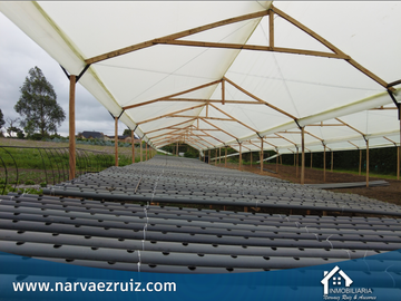 Vendo Finca en Tenjo Vereda Martin y Espino