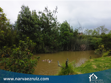 Vendo Finca en Tenjo Vereda Martin y Espino