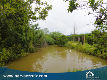 Vendo Finca en Tenjo Vereda Martin y Espino