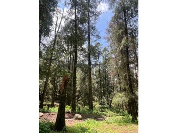 Terreno boscoso en Venta en Pueblo Nuevo, cerca de Huasca