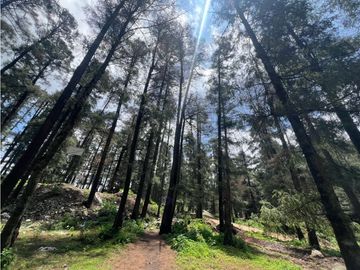 Terreno boscoso en Venta en Pueblo Nuevo, cerca de Huasca