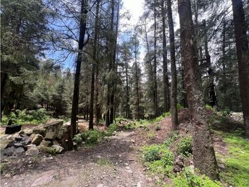 Terreno boscoso en Venta en Pueblo Nuevo, cerca de Huasca