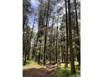 Terreno boscoso en Venta en Pueblo Nuevo, cerca de Huasca