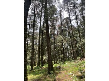 Terreno boscoso en Venta en Pueblo Nuevo, cerca de Huasca