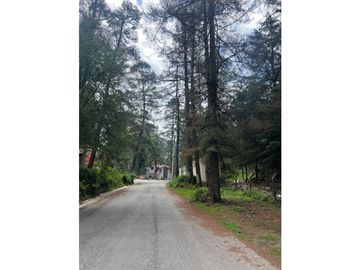 Terreno boscoso en Venta en Pueblo Nuevo, cerca de Huasca