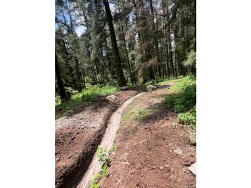 Terreno boscoso en Venta en Pueblo Nuevo, cerca de Huasca