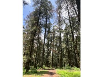 Terreno boscoso en Venta en Pueblo Nuevo, cerca de Huasca