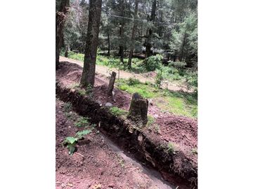 Terreno boscoso en Venta en Pueblo Nuevo, cerca de Huasca
