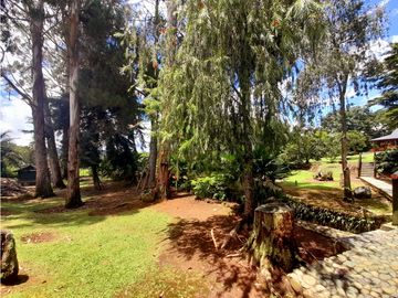 VENTA  FINCA EN CALIMA-DARIEN