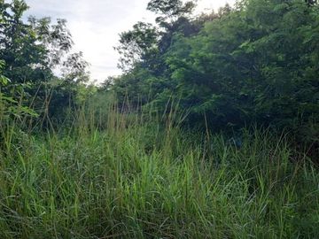Venta de terreno ideal para desarrollo o placita comercial en  Tizimín