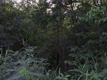 Venta de terreno ideal para desarrollo o placita comercial en  Tizimín