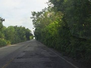 Venta de terreno ideal para desarrollo o placita comercial en  Tizimín