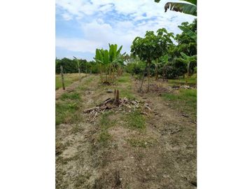 VENDO FINCA EN SANTA ELENA (CERRITO VALLE) T.P 7983343