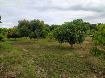 VENDO FINCA EN SANTA ELENA (CERRITO VALLE) T.P 7983343
