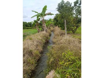 VENDO FINCA EN SANTA ELENA (CERRITO VALLE) T.P 7983343