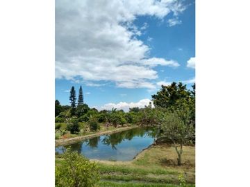 VENDO FINCA EN SANTA ELENA (CERRITO VALLE) T.P 7983343