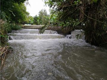 VENDO FINCA EN SANTA ELENA (CERRITO VALLE) T.P 7983343