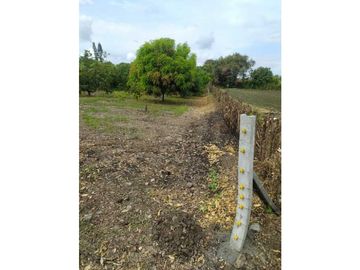 VENDO FINCA EN SANTA ELENA (CERRITO VALLE) T.P 7983343