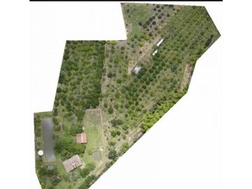VENDO FINCA EN SANTA ELENA (CERRITO VALLE) T.P 7983343