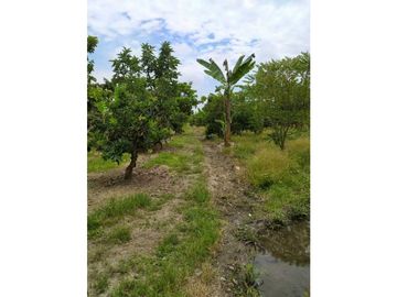 VENDO FINCA EN SANTA ELENA (CERRITO VALLE) T.P 7983343