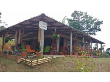 VENDO FINCA EN EL QUEREMAL T.P 7983315