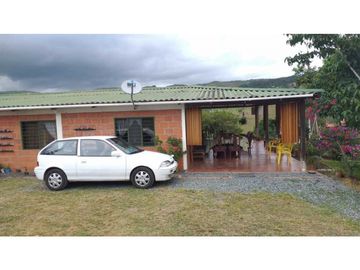 VENDO FINCA EN EL QUEREMAL T.P 7983315